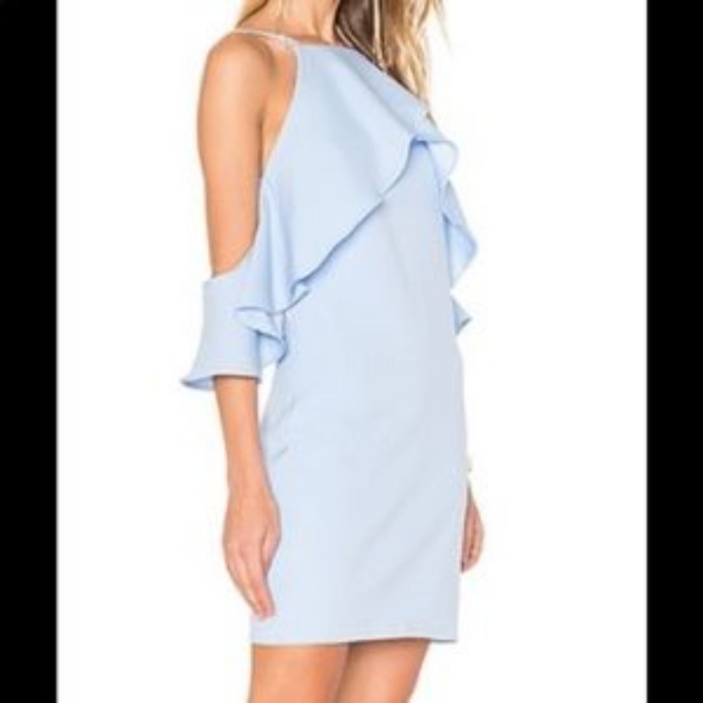 Endless Rose Flared Ruffle Dress - Picture 2 of 4